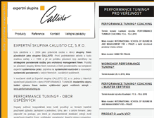 Tablet Screenshot of expertcallisto.com